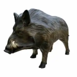 ფისის ფორმები